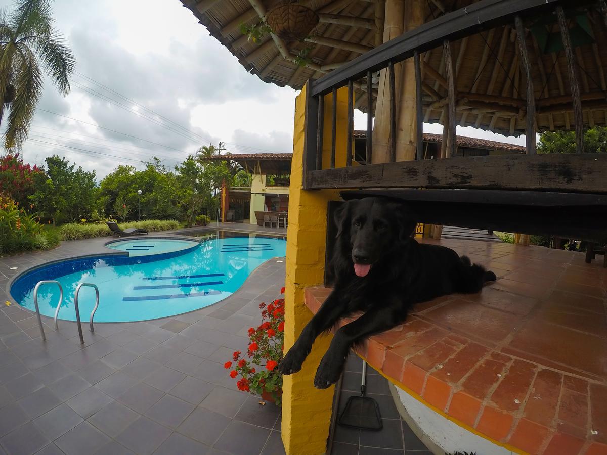 Finca Hotel La Quinta Porra Armenia  Luaran gambar